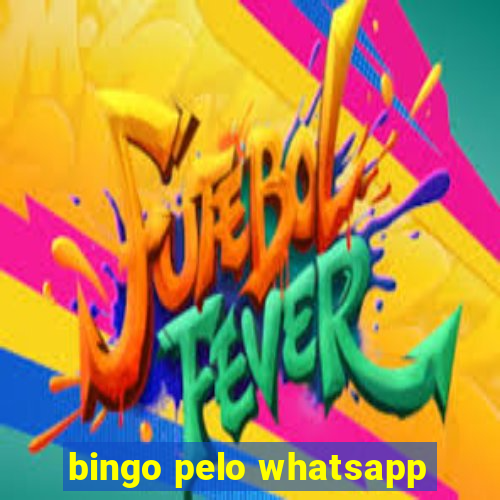 bingo pelo whatsapp